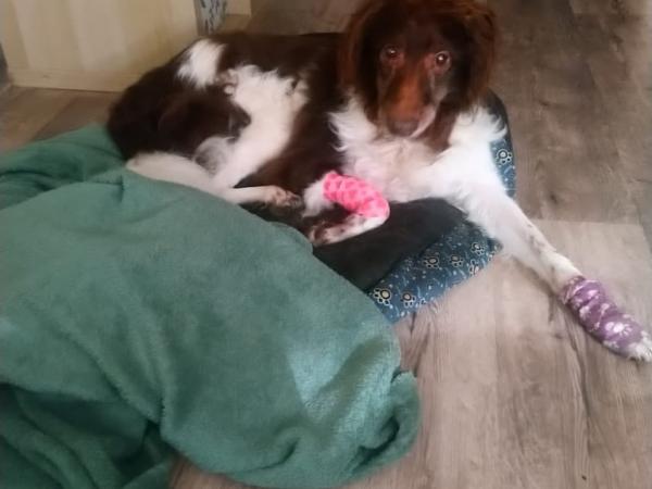 567682840_1250651463760467_5568063921688032768_n