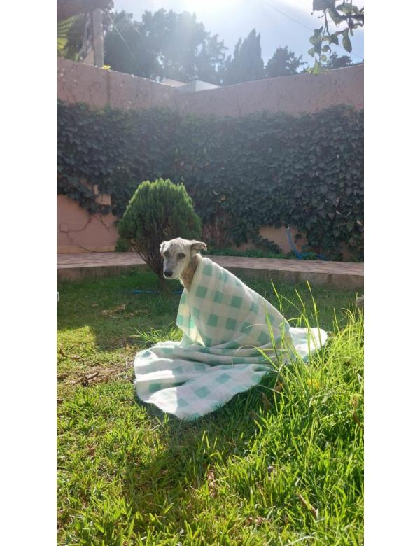 Amira-pomoglismy-2-768x1364