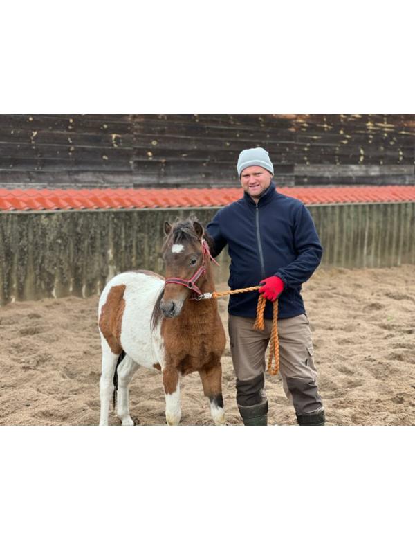 Sopelek-uratowany-768x576