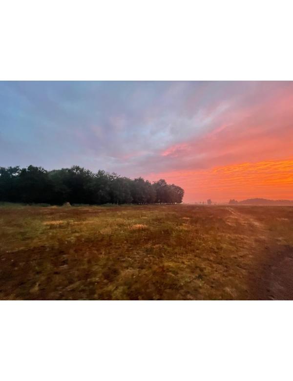 modlimowo_ (20)