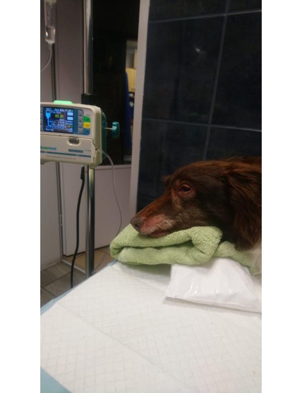 566206455_1250651430427137_3118773288134947874_n