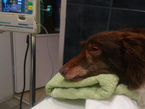 566206455_1250651430427137_3118773288134947874_n