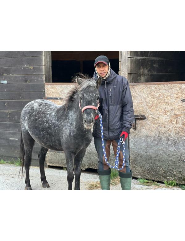 Julia-uratowana-768x576