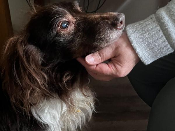 568759220_1250651377093809_4041082103052515198_n