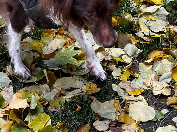 567682008_1250651477093799_7518844027489487432_n