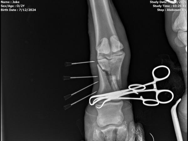 Nora-51