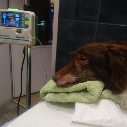 566206455_1250651430427137_3118773288134947874_n