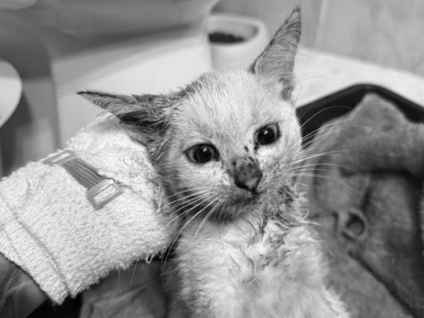 Aniutka-byla_z_nami-768x574