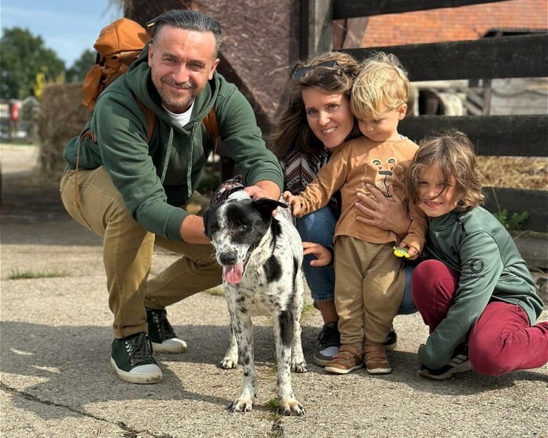 Toto-w_adopcji-1-768x614.jpg